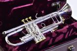 Bach Model 6 バック トランペット