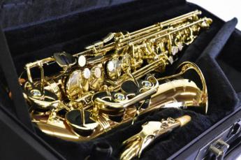 YANAGISAWA A-WO2 ヤナギサワ アルトサックス