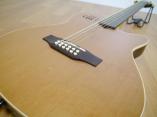 Godin/ゴダン 12弦ギター A12