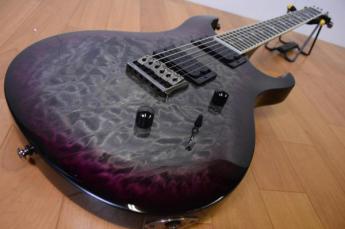 PRS/Paul Reed Smith エレキギター SE Mark Holcomb