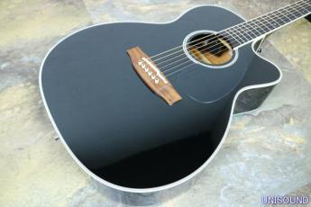 Takamine/タカミネ アコースティックギター/アコギ/エレアコ DMP751C BL