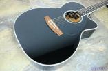 Takamine/タカミネ アコースティックギター/アコギ/エレアコ DMP751C BL