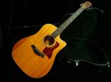 Taylor 310ce