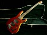 GB model Washburn