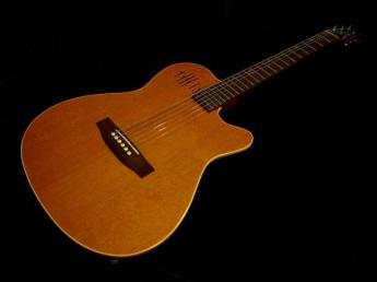 Godin A6