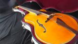 AR-810CE 【エレキギター】