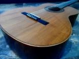 ギブソンガットギター Gibson C-6