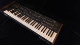 Prophet-600
