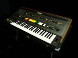 CS-50