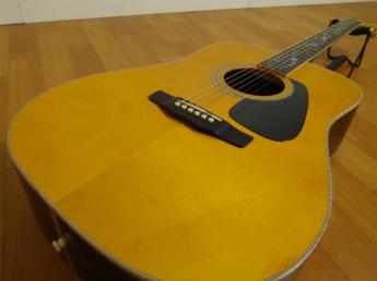 Morris/モーリス アコーステックギター アコギ W-LTD VYL