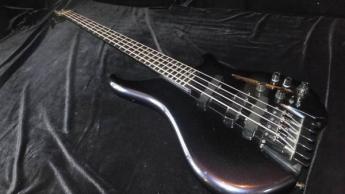 SOMNUS Zi-4