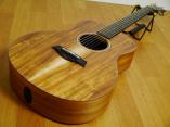 Taylor/テイラー アコースティックギター/アコギ/エレアコ GS Mini-e Koa ES2