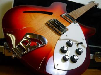 Rickenbacker/リッケンバッカー 330 FG 2011年製