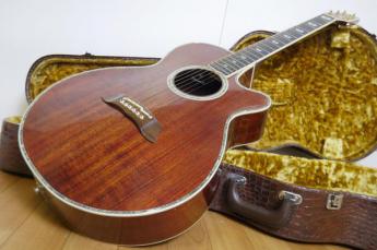 Takamine/タカミネ エレアコ L6
