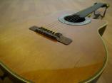 Ovation/オベーション エレガット 1763 Classic