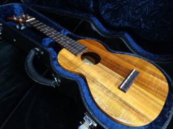 Kamaka HF-2