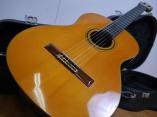 Alberto Canto ガットギター Concert Classic