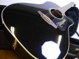 Takamine/タカミネ アコースティックギター DMP861C