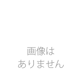 Carvin/カービン ギターアンプヘッド Legacy3